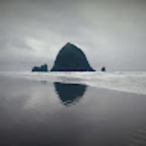 Meet your Posher, Chelsea